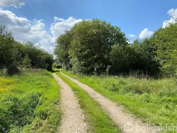 Grusvej løber gennem frodigt grønt landskab, omgivet af tæt bevoksede træer under en klar blå himmel med spredte skyer.