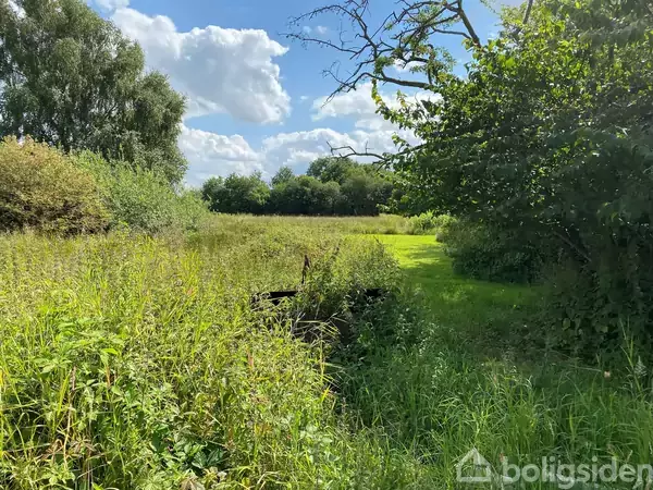 En frodig eng med højt græs og buske omgiver en smal, grøn sti. Træer i baggrunden og let skyet blå himmel skaber en fredfyldt atmosfære.