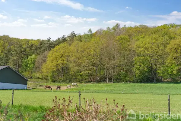 En eng, hvor tre heste græsser, omgivet af grønne marker og med en skov i baggrunden. En bygning står til venstre under en klar, blå himmel.