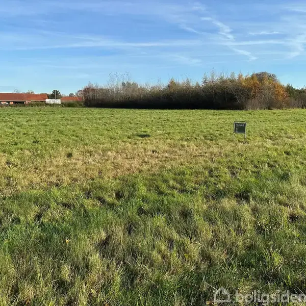En grøn græsmark med et lille skilt placeret midt på marken omgivet af buske og træer i baggrunden. En række af rødhusbygninger kan ses i venstre side.