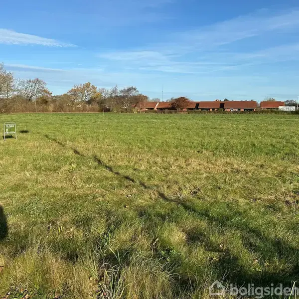 En grøn mark med et lille skilt står i forgrunden. Skygger af en person bemærkes. I baggrunden ses en række huse og løvfældende træer under en blå himmel.