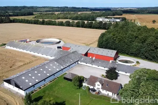 Svinegård/-jord på Kærvej 49mfl., 9500 Hobro