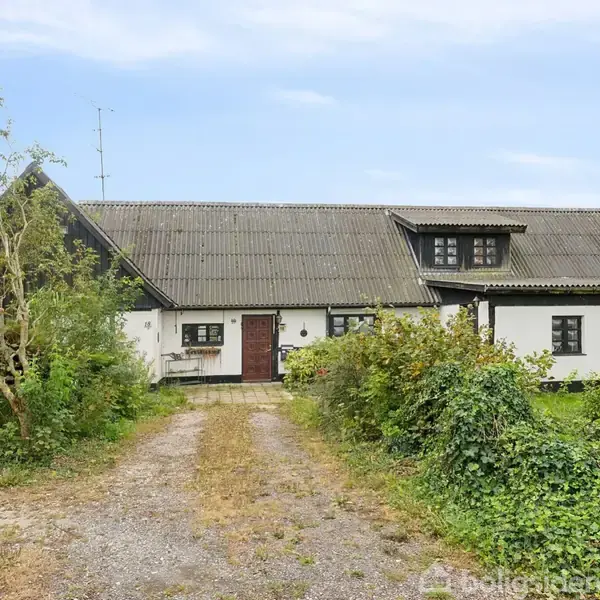 Hvid landejendom med sort tag står stille omgivet af frodige planter og en grusbelagt indkørsel i et landligt område. Ingen tekst er synlig.