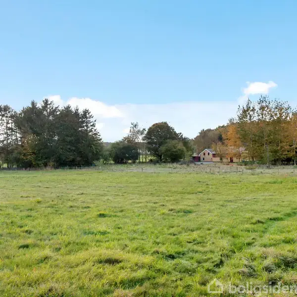 Græsmark strækker sig over fladt terræn; træer står i baggrunden ved siden af et hus, omgivet af skov. Himlen er delvist skyet. Ingen tekst i billedet.