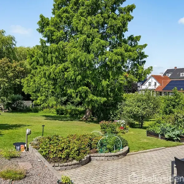 Græsplæne strækker sig foran en stor, grøn træ i en have, omgivet af buske og bede; flisebelagt terrasse med havemøbler i forgrunden. Husene skimtes i baggrunden.