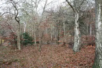 Fritidsgrund på Thujavej 5, Ulvshale, 4780 Stege