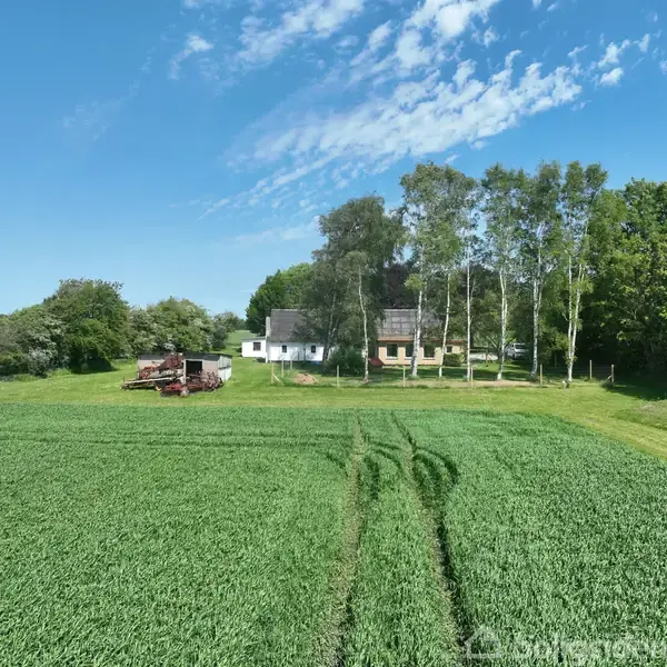 Et hvidt hus og en lade står blandt høje træer ved siden af en frodig mark med traktorspor. Blå himmel med hvide skyer i baggrunden.