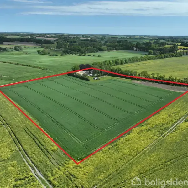 En stor grøn mark er indhegnet med en rød linje, der viser grænserne. Centralt i marken ligger et lille hus omgivet af træer. Landskabet er landligt.