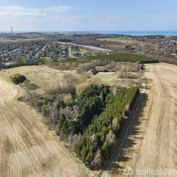 En klynge træer omgiver en lysning med et hus i. Omgivet af vidtstrakte marker, med en fjern bebyggelse og hav i baggrunden under en blå himmel.