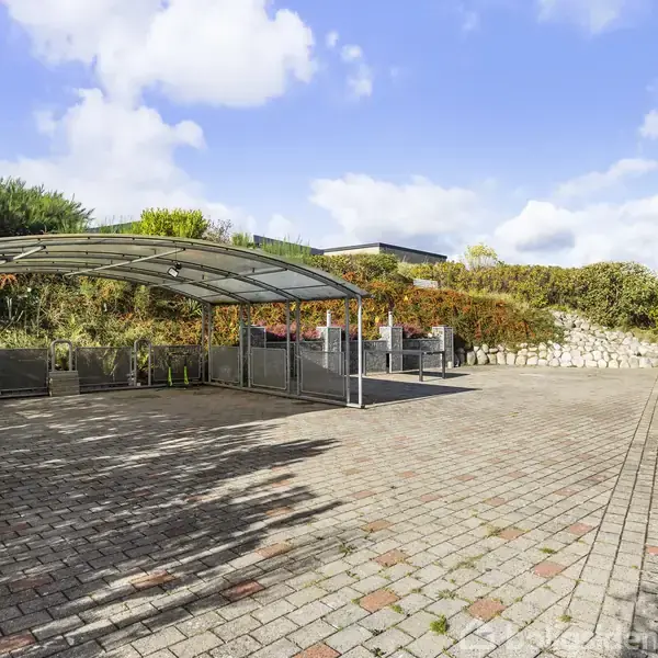 Carport med gennemsigtigt tag står på en flisebelagt gårdsplads. I baggrunden omkranses området af farverige buske og en stenvæg. Højre side viser en hvid mur.