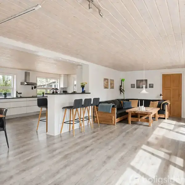 Stue med åbent køkken; lyse træmøbler, sorte stole ved spisebord og bar. Lyst trægulv, hvide vægge, loft med indbygget belysning. Store vinduer lader dagslys komme ind.
