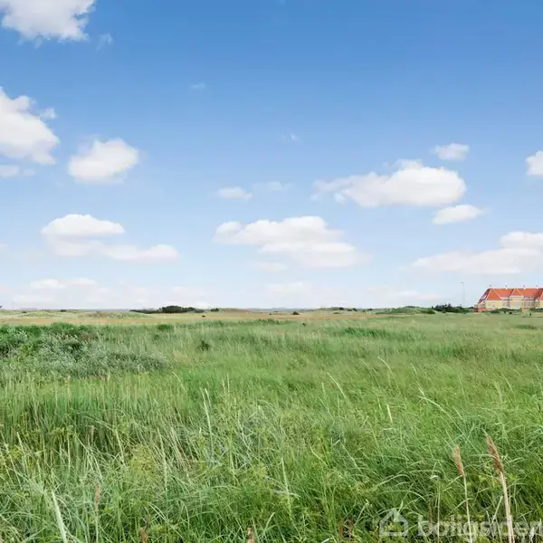 Grønt græs strækker sig over en bred eng. En rødtagt bygning er placeret i det fjerne under en klar blå himmel med spredte hvide skyer.