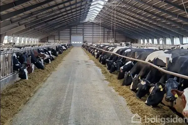 Kvæggård/-jord på Søndre Lyngvej 26, 3700 Rønne