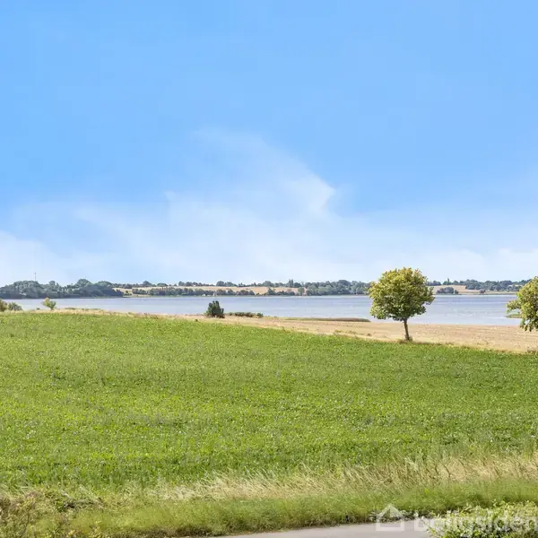 En grøn mark strækker sig ud mod en sø. Enkelte træer står spredt langs kysten i det fjerne. Himlen er klar og blå. Ingen tekst er til stede.