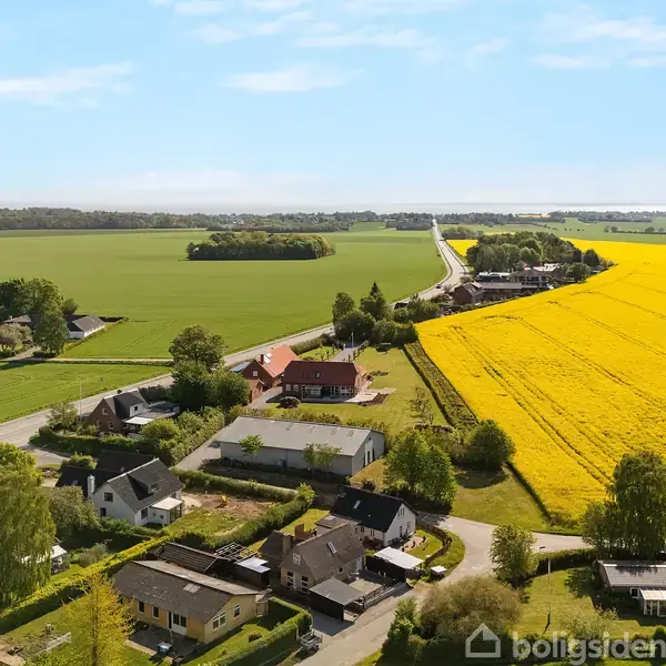 Flere huse ligger tæt ved hinanden i en lille landsby. De grænser op til store marker, én med gule blomster og en anden med grønne afgrøder, under en lys himmel.