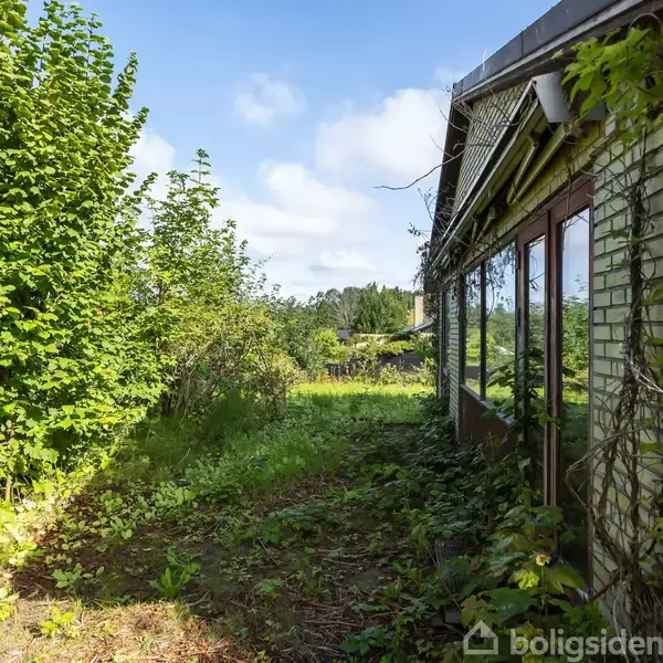 En murstensbygning er dækket af klatrende planter. Bygningen står ved siden af en frodig have med høje buske og træer under en blå himmel med få skyer.