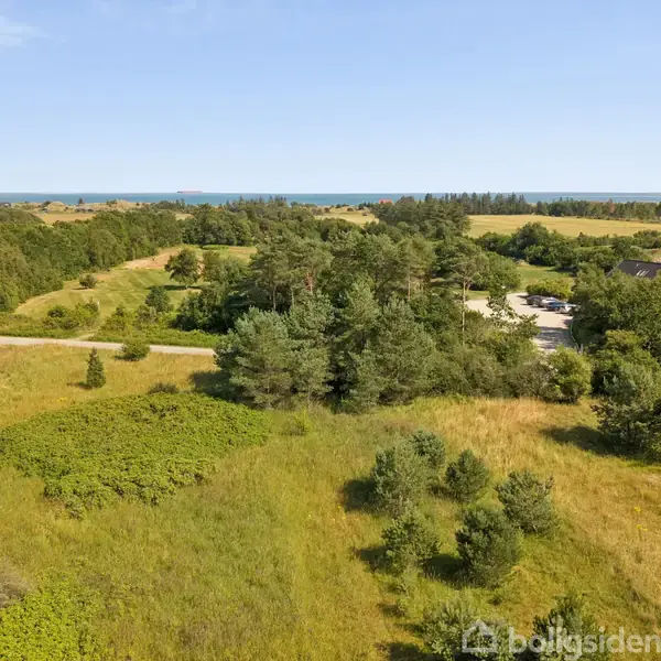 En grøn mark strækker sig under en blå himmel, omgivet af en blanding af træer og buske. To grusveje skærer hinanden i forgrunden, omringet af frodig vegetation.