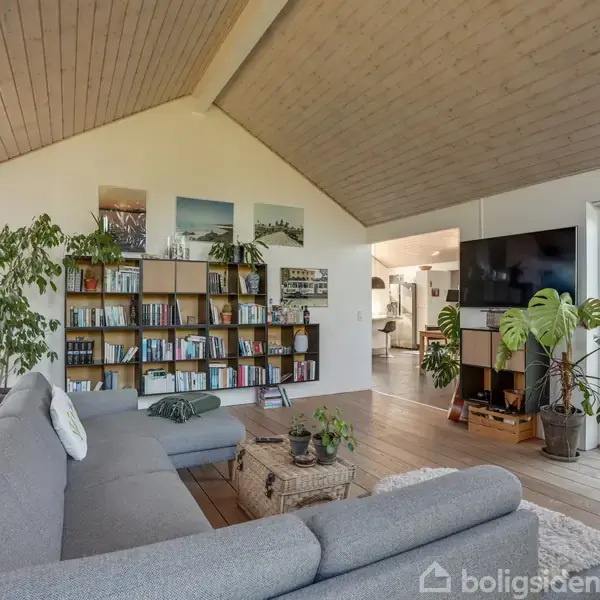Sofa i gråt står foran en bogreol fyldt med bøger og planter. Et fjernsyn hænger over et skab; rummet er lyst med store vinduer.