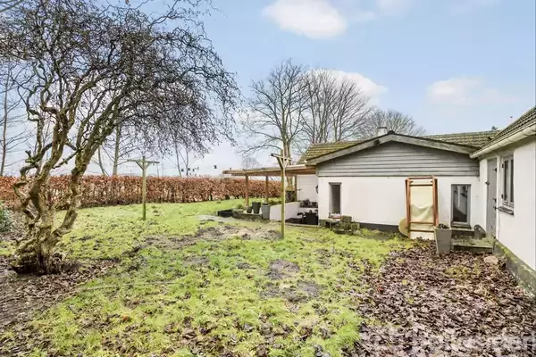 Hus står stille i have omgivet af græs og et træ uden blade. Bygningen har hvide vægge og gråt tag, med en hæk i baggrunden under en blå himmel.