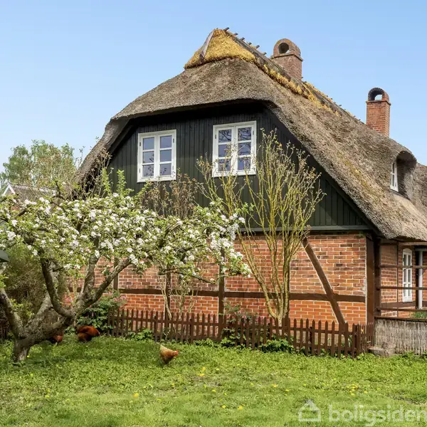 Stråtækt hus står stille i en frodig have med blomstrende træer og hække omkring. To høns bevæger sig i det grønne græs.