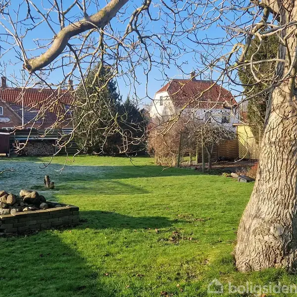 Stor træ i en have, omgivet af grøn græsplæne og kvadratisk stenkonstruktion med sten på toppen. I baggrunden ses to huse med røde tage under en klar blå himmel.