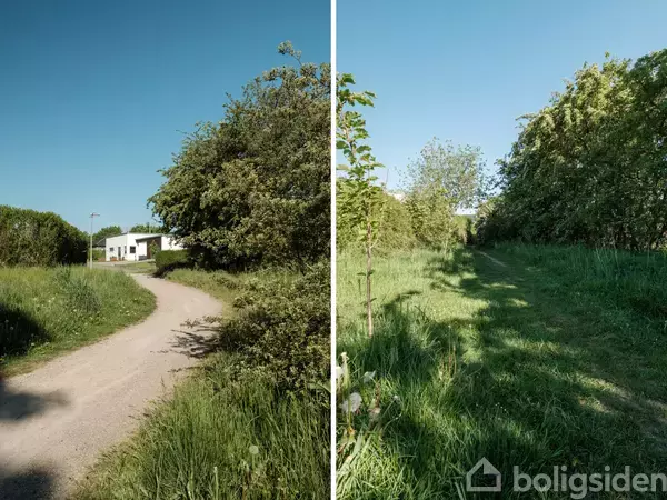 En to-delt billede viser en grussti omgivet af grønne buske og træer til venstre, og en græssti flankeret af tætte buske og træer til højre under en klar blå himmel.
