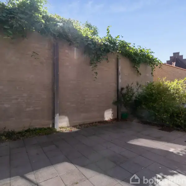 Terrasse omgivet af en mur dækket med klatrende planter, solsikker står i det ene hjørne. Fliserne danner gulvet. Sollys kaster skygger.