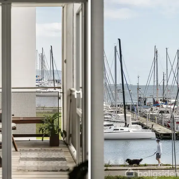 En altan med møbler og planter set fra en bygning. Udenfor er en havn med sejlbåde, og en person går med en hund ved vandkanten.