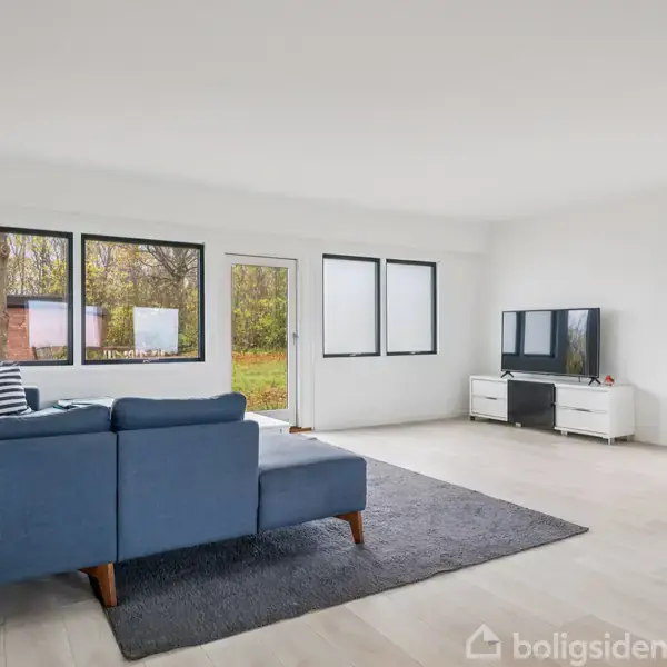 En blå sofa står på et gråt tæppe i en lys stue med store vinduer. En fladskærms-tv er placeret på et skab mod en hvid væg.