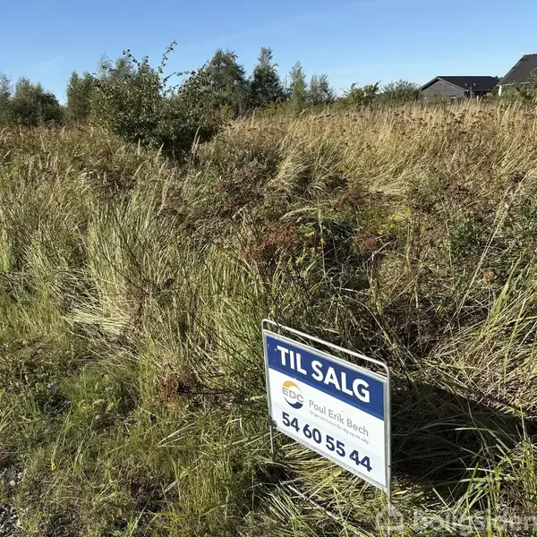 Et skilt står i et græsklædt område. Skiltet viser: "TIL SALG, EDC Poul Erik Bech, 54 60 55 00". Det omgivende landskab er fyldt med højt græs og buske.