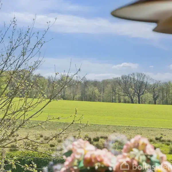 Landskab ses gennem et vindue; frodige marker strækker sig mod skovklædte bakker under en blå himmel. I forgrunden står en buket med lyserøde blomster på en vindueskarm.