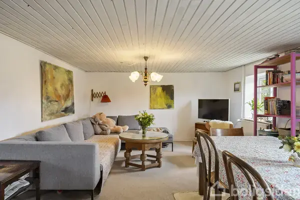 Sofa er centrum i stuen, flankeret af et bord med blomster og et tv på skænken. Væggene har kunst, mens bogreolen står ved vinduet.