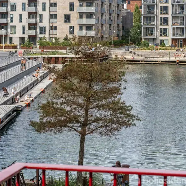 Et ensomt træ står ved en havnefront, omringet af mennesker, der sidder og slapper af ved vandet. Baggrunden er fyldt med moderne lejlighedsbygninger.