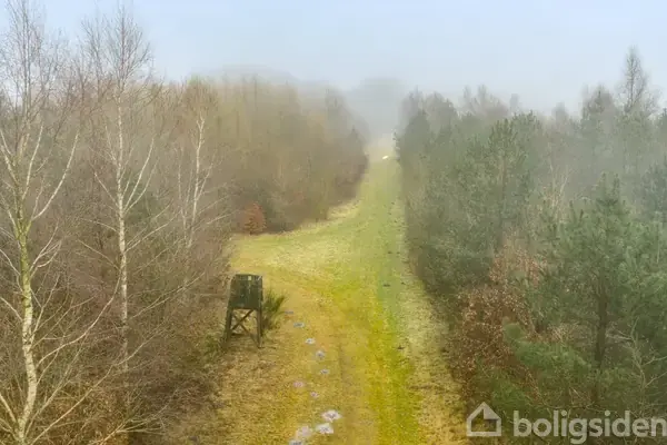 Skovejendom på Kuldbjergvej 26, 7321 Gadbjerg