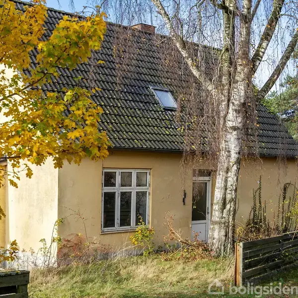 Et gult hus med sort tegltag står omgivet af høje træer og efterårsfarvede buske i en have. En birketræstamme er tæt på facaden.