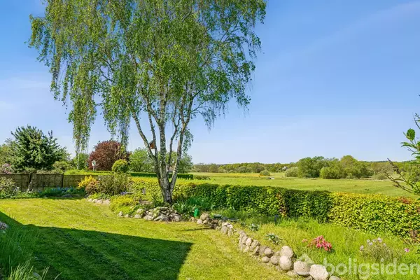 Et stort træ står i en velplejet have med en stenbed omkring. Haven har en grøn hæk, og i baggrunden ses åbne marker under en klar blå himmel.