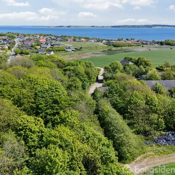 Grønne træer dækker et kuperet landskab, mens en snoet vej fører gennem dem. Området ligger nær en kyst med udsigt over havet og nogle spredte huse i det fjerne.