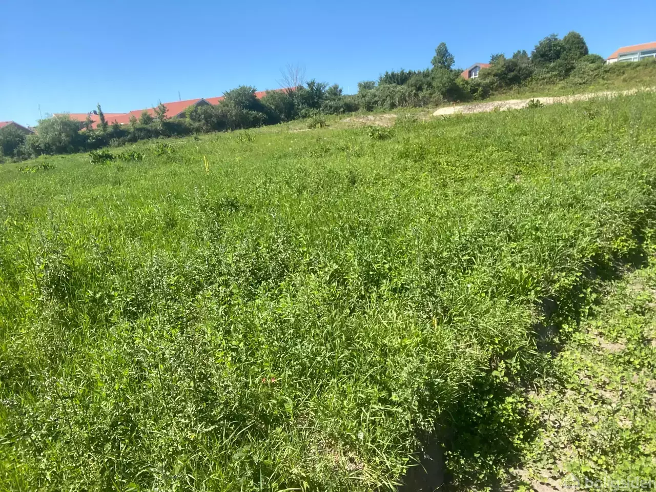 Helårsgrund på Udsigten 7C, 8500 Grenaa