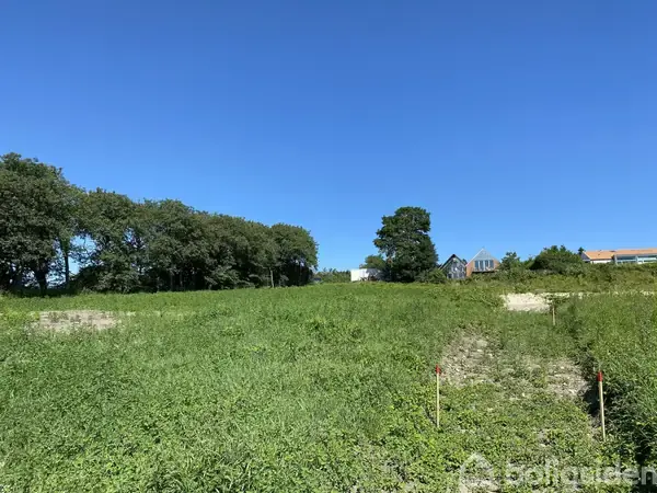 Et grønt åbent markareal under en klar blå himmel med enkelte huse i baggrunden. En række træer står til venstre og et enkelt træ midt i billedet.