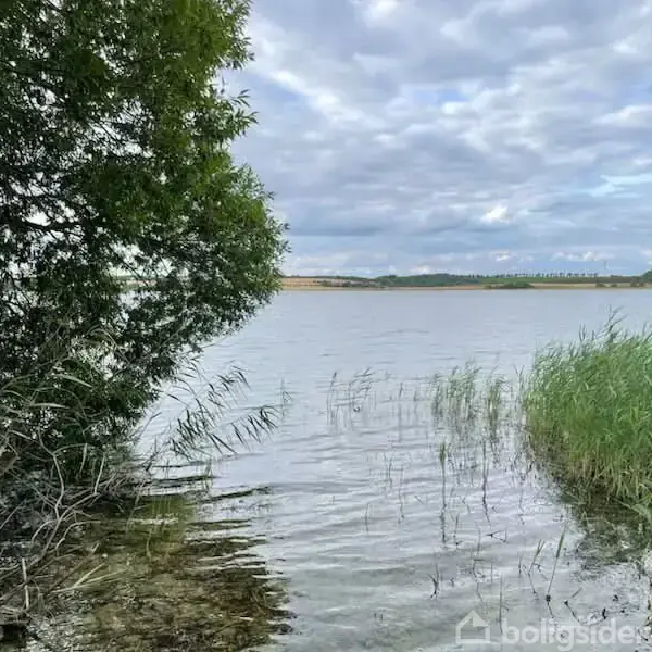 Sø ved sivbevokset bred; spejler himmelen med skyer. Omgivet af træer og græs, skaber en naturskøn scene.