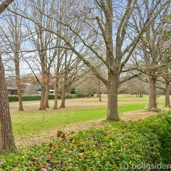 Træer står uden blade i en park. Et græsareal strækker sig mellem træerne, og buske grænser op til en sti. En bygning ses bag træerne i baggrunden.