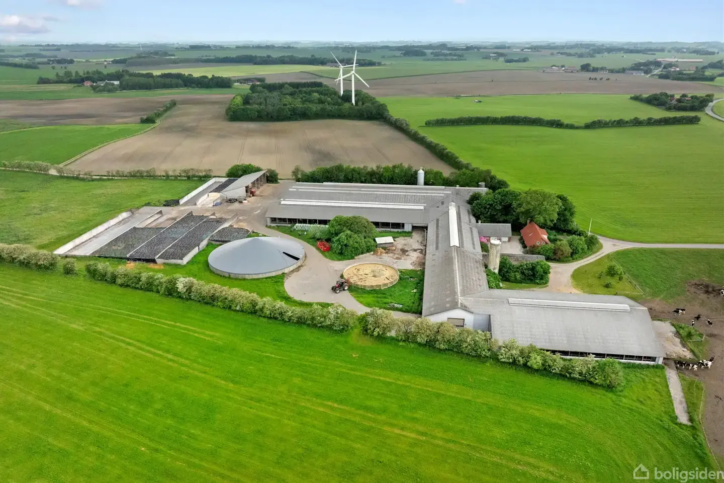Kvægejendom - View 2