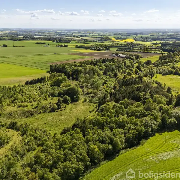 Grønt landskab strækker sig over marker og skove. Skovområder omkranser åbne marker under en klar blå himmel. Ingen tekst er vist i billedet.