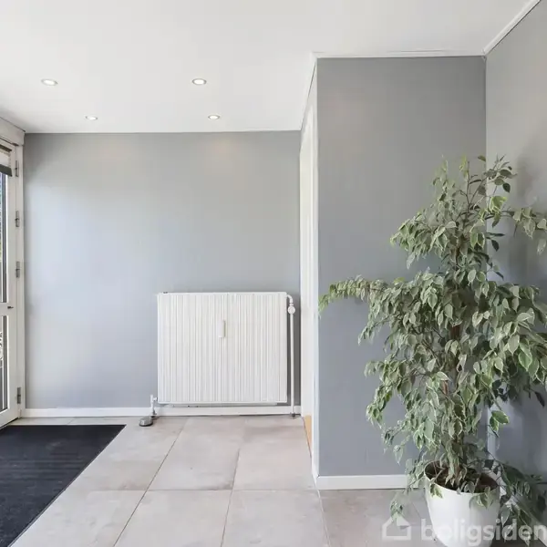 En grøn plante står i en lys indgang med grå vægge og en radiator. Store glasdøre fører ud til en terrasse. En sort dørmåtte er placeret på gulvet.