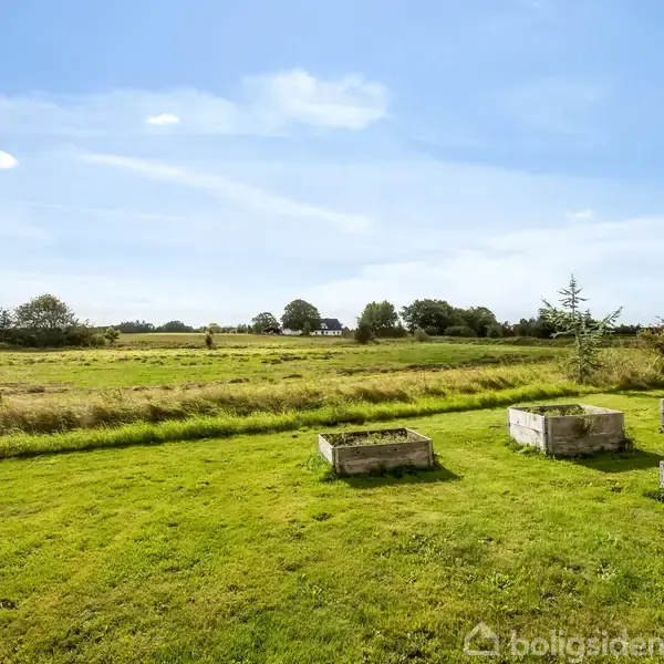 Hævede plantekasser står på en grøn græsplæne. Baggrunden viser en åben mark med træer under en klar blå himmel, hvilket skaber en fredelig og landlig atmosfære.