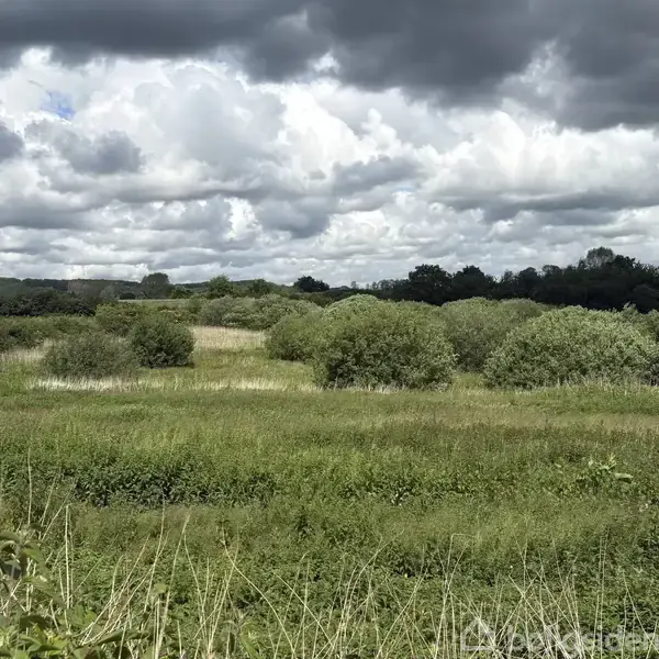 Landskab med grønne buske og græsstrækninger under en skyet himmel. Omgivelserne præges af lav vegetation og træer i baggrunden. Tekst: "boligsiden" (vandmærke ignoreres).