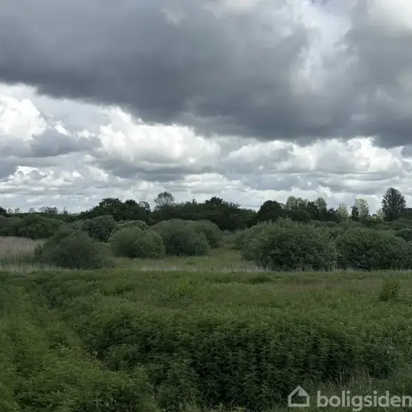 Grønt landskab med buske og træer under en overskyet himmel. Store, hvide skyer dækker himlen, og der er en tæt bevoksning af græs og småbuske i forgrunden.