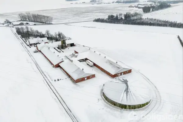 Svinegård/-jord på Dalagervej 1, 7600 Struer