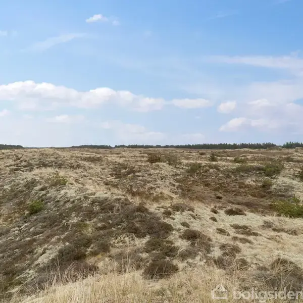 En kuperet græsmark strækker sig i et vidt åbent landskab under en klar blå himmel med spredte hvide skyer. I baggrunden ses en lav, skovklædt horisontlinje.