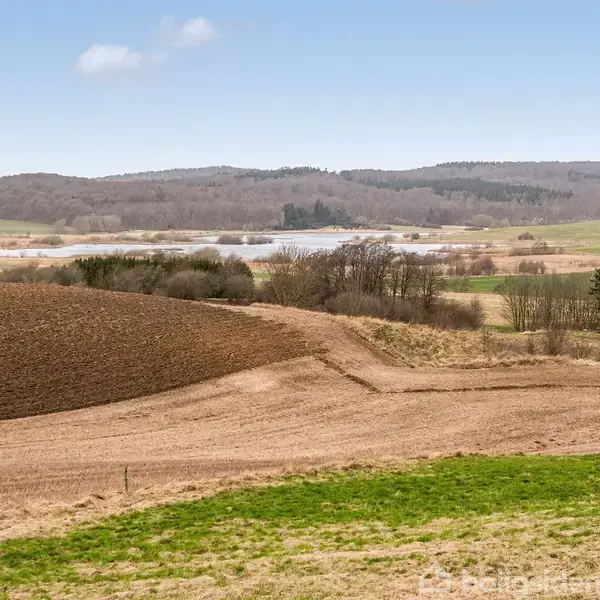 Mark, ligger stille, omgivet af grønne og brune marker. I baggrunden ses en sø og skove i det fjerne under den blå himmel.